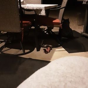 Meet your Posher, Jeffrey